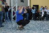 meisterfeier2009_216.htm